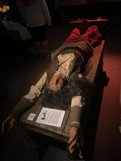 undefined Gallery Image 4