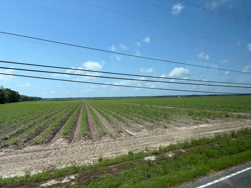 undefined Gallery Image 3