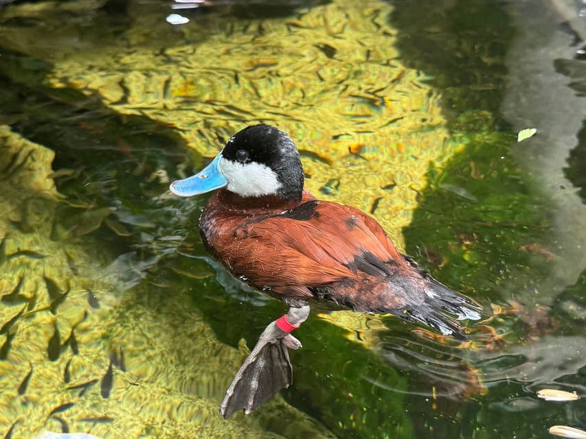 undefined Gallery Image 1