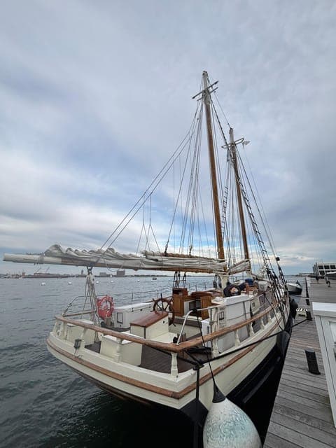 undefined Gallery Image 3