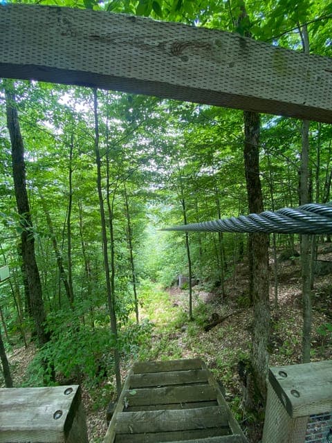 undefined Gallery Image 3