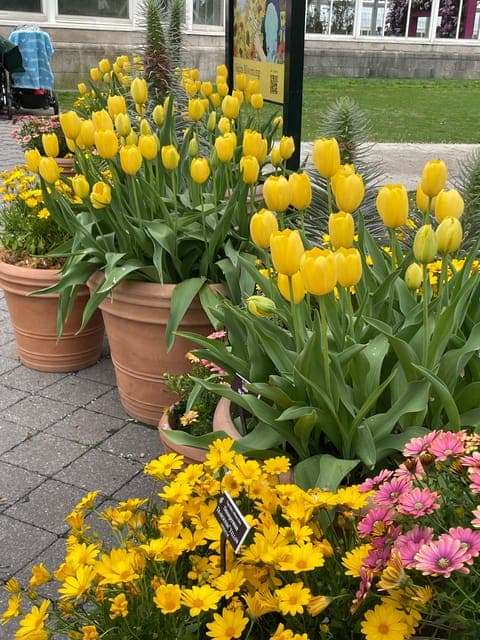 undefined Gallery Image 2