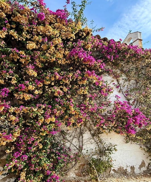 undefined Gallery Image 4