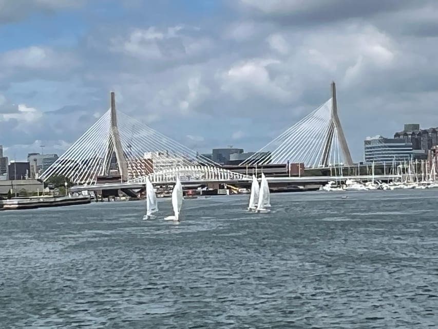 undefined Gallery Image 4