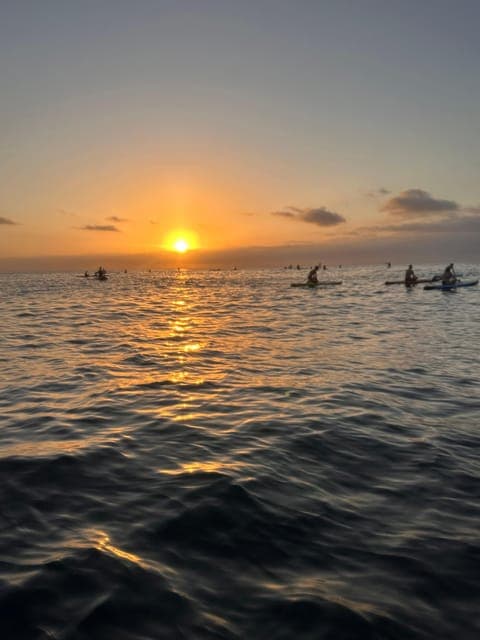 undefined Gallery Image 3