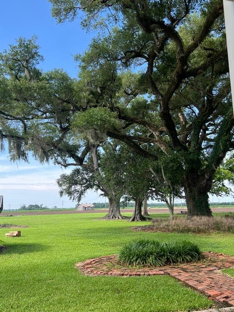 undefined Gallery Image 2