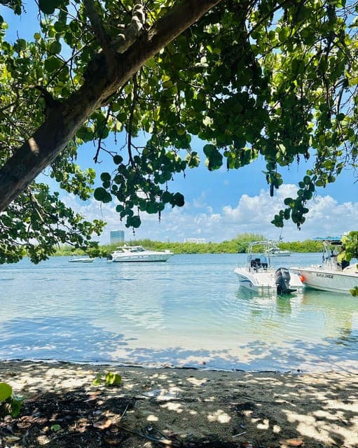 undefined Gallery Image 2