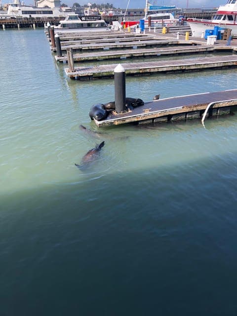 undefined Gallery Image 4