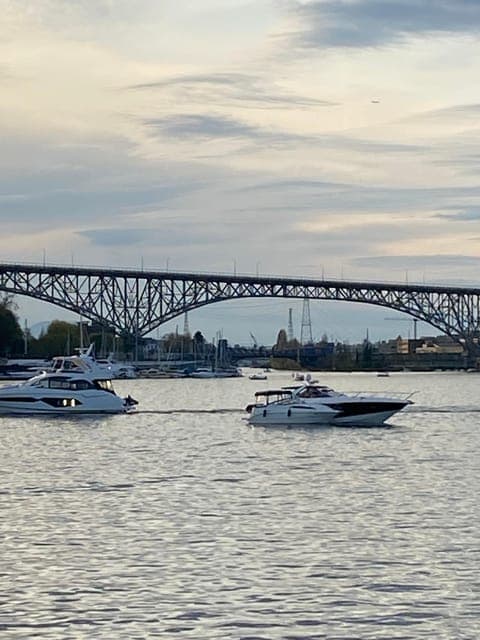 undefined Gallery Image 2