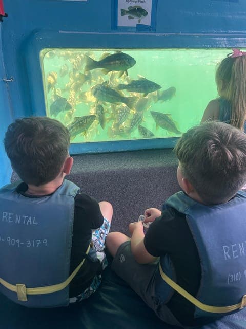 undefined Gallery Image 1