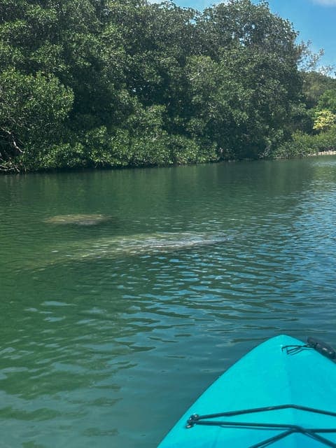 undefined Gallery Image 3