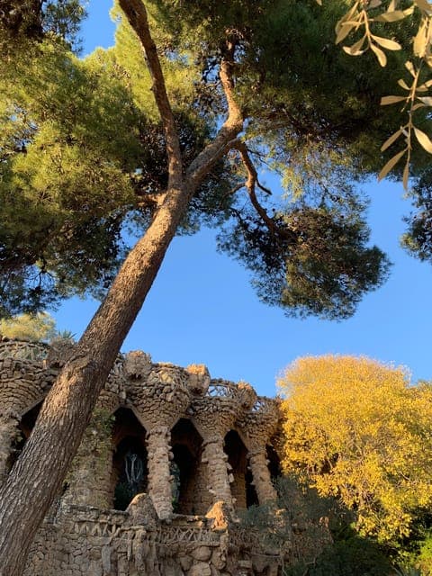 undefined Gallery Image 1