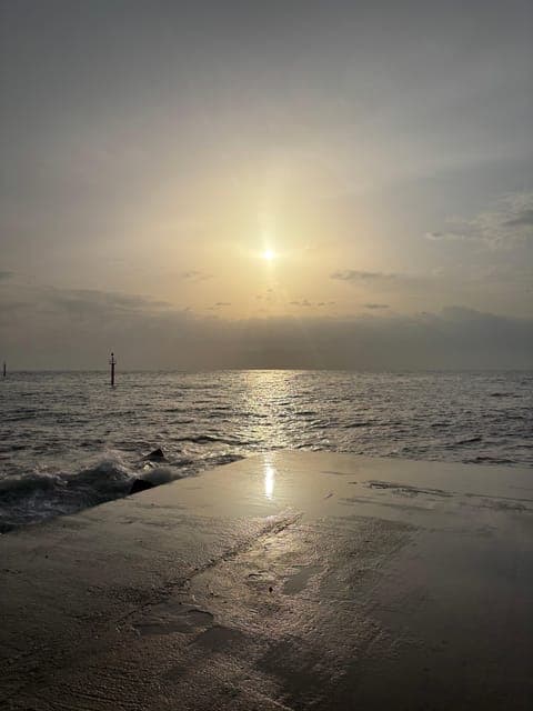 undefined Gallery Image 3