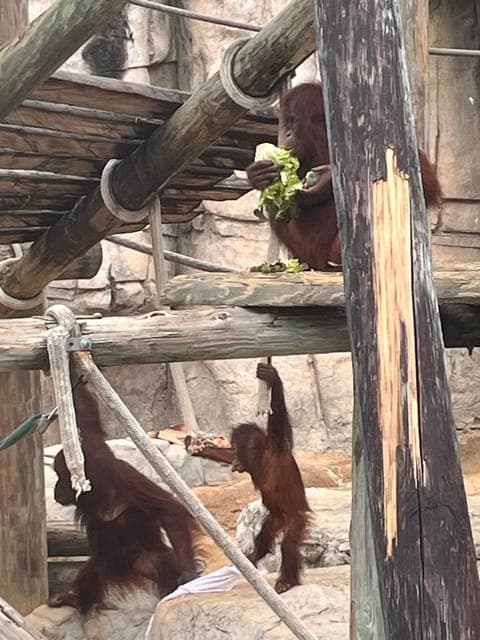 undefined Gallery Image 4