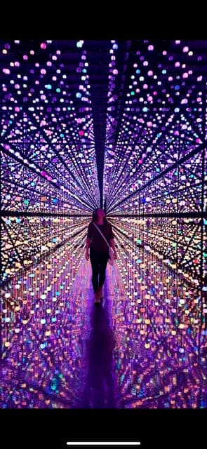 undefined Gallery Image 3