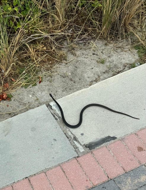 undefined Gallery Image 4