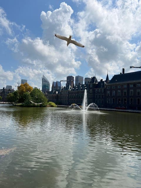 undefined Gallery Image 2