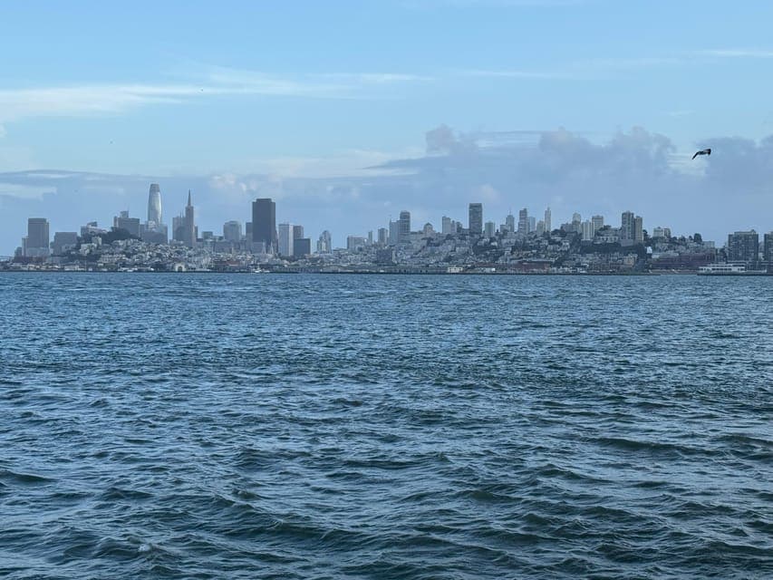 undefined Gallery Image 3