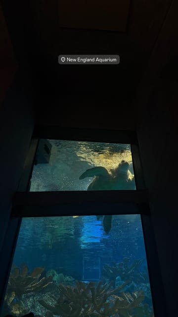 undefined Gallery Image 2