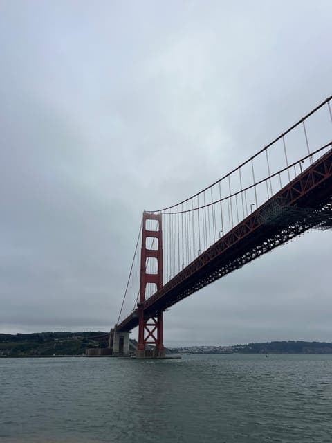 undefined Gallery Image 2