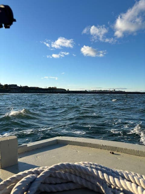 undefined Gallery Image 3