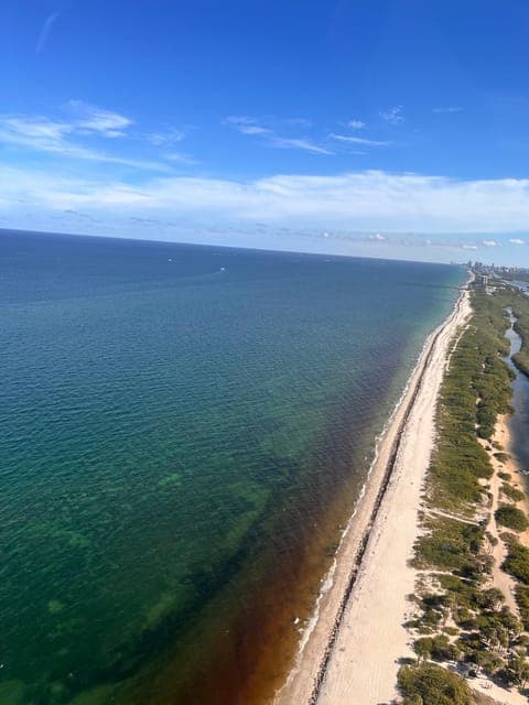 undefined Gallery Image 4