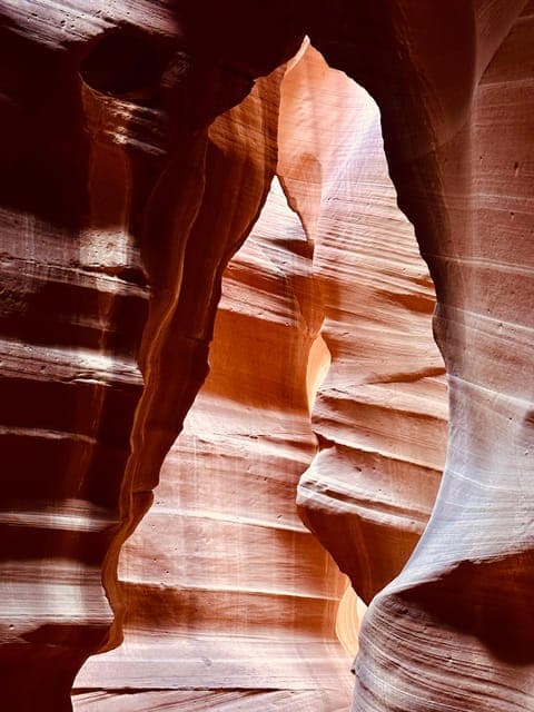 undefined Gallery Image 1