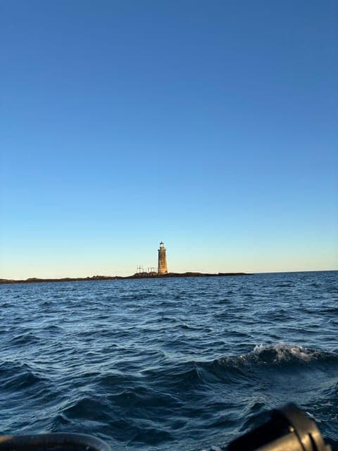 undefined Gallery Image 1