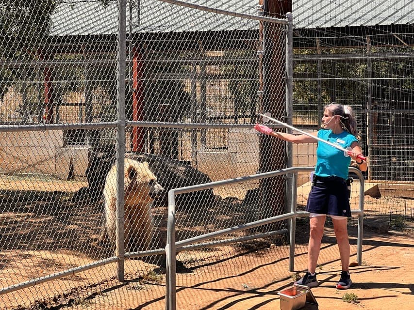 undefined Gallery Image 2