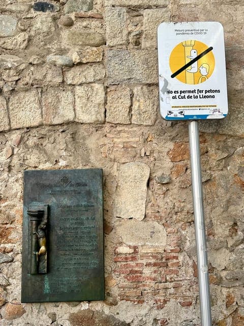 undefined Gallery Image 1