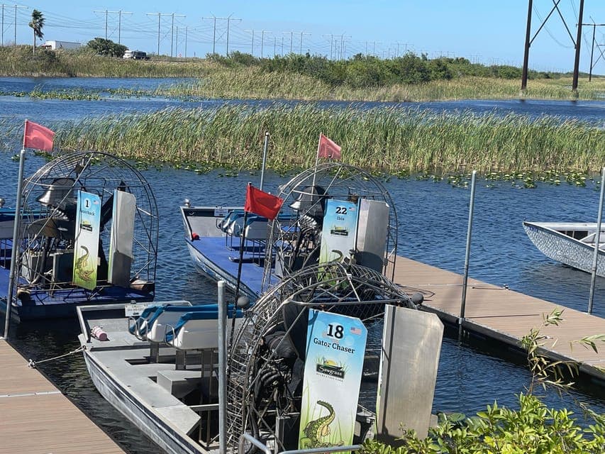 undefined Gallery Image 1