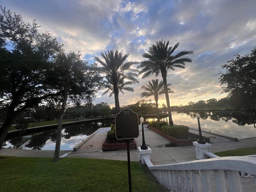 undefined Gallery Image 4