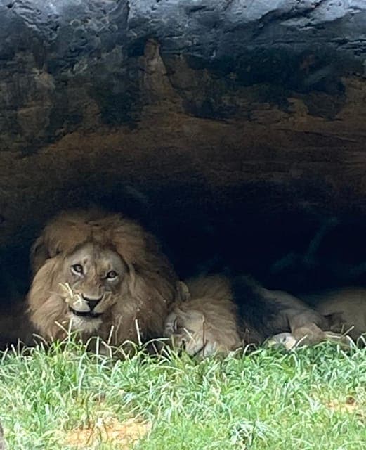 undefined Gallery Image 4