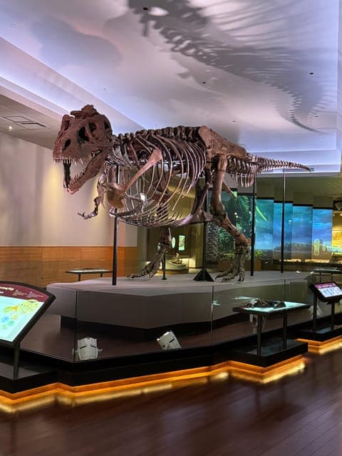 undefined Gallery Image 1