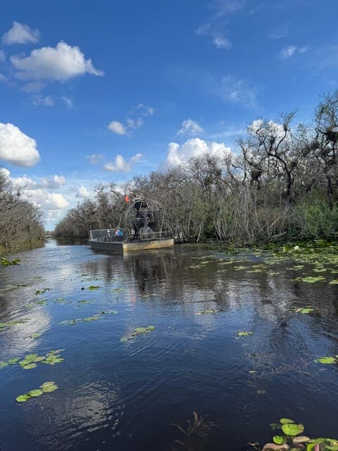 undefined Gallery Image 4