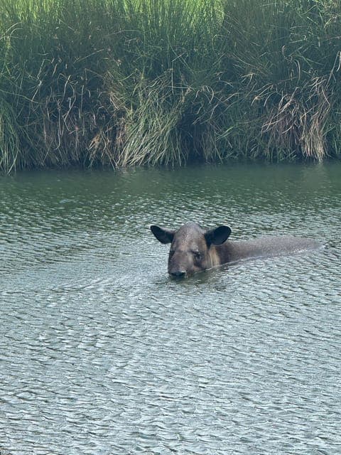 undefined Gallery Image 4