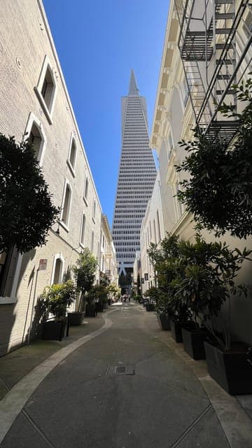 undefined Gallery Image 1