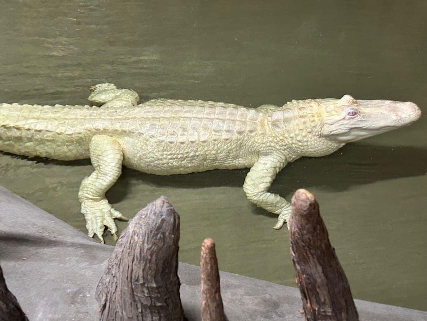 undefined Gallery Image 3