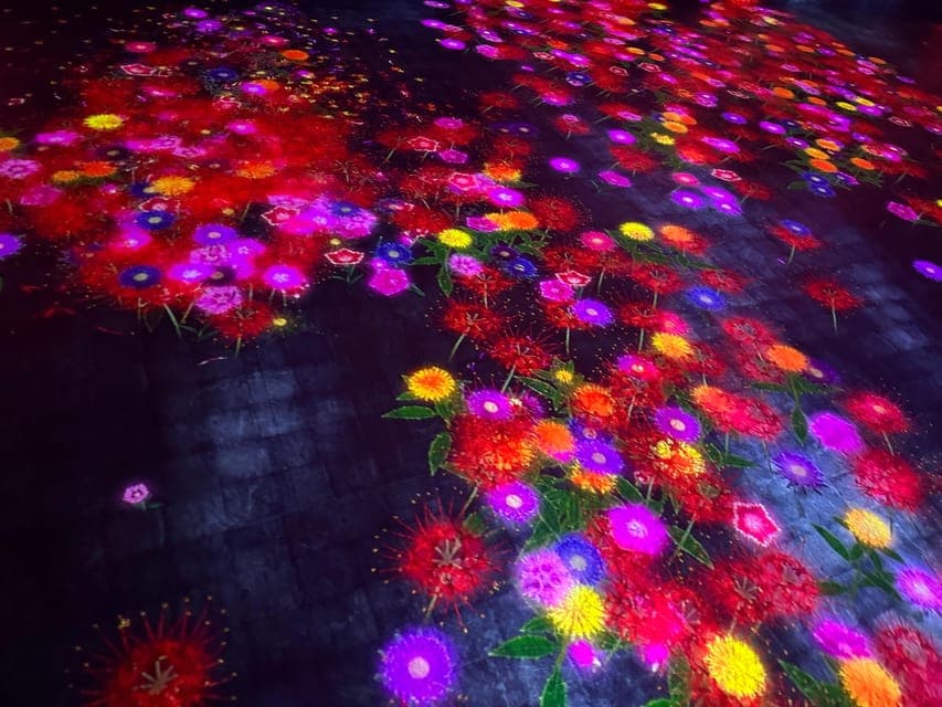 undefined Gallery Image 4