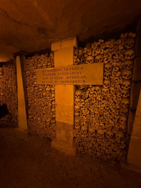 undefined Gallery Image 1