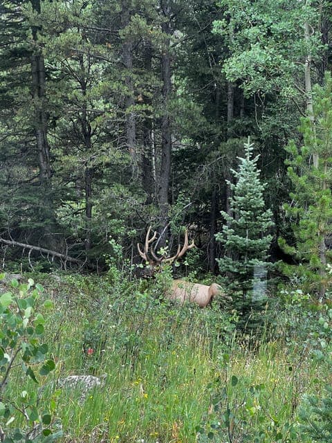 undefined Gallery Image 3