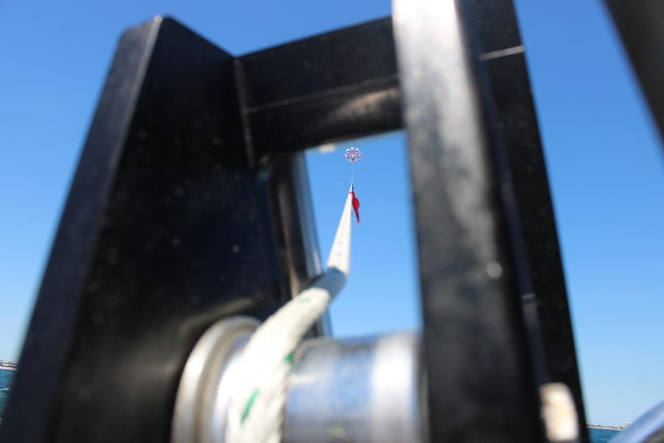 undefined Gallery Image 2