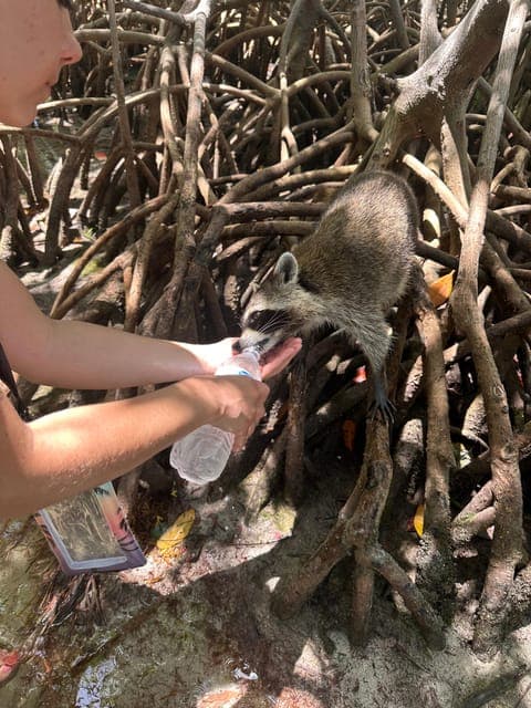 undefined Gallery Image 1