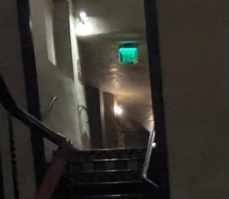 undefined Gallery Image 4