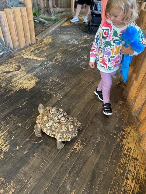 undefined Gallery Image 2