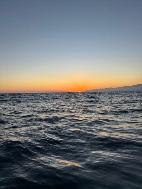 undefined Gallery Image 1