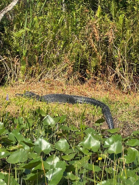 undefined Gallery Image 1