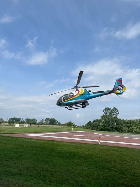 undefined Gallery Image 4