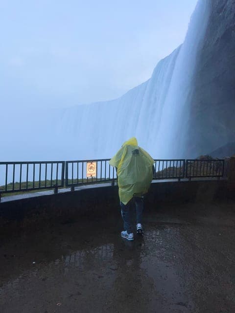 undefined Gallery Image 2