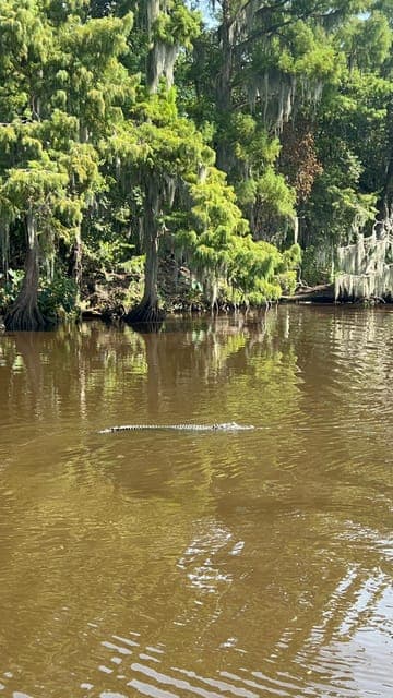 undefined Gallery Image 3